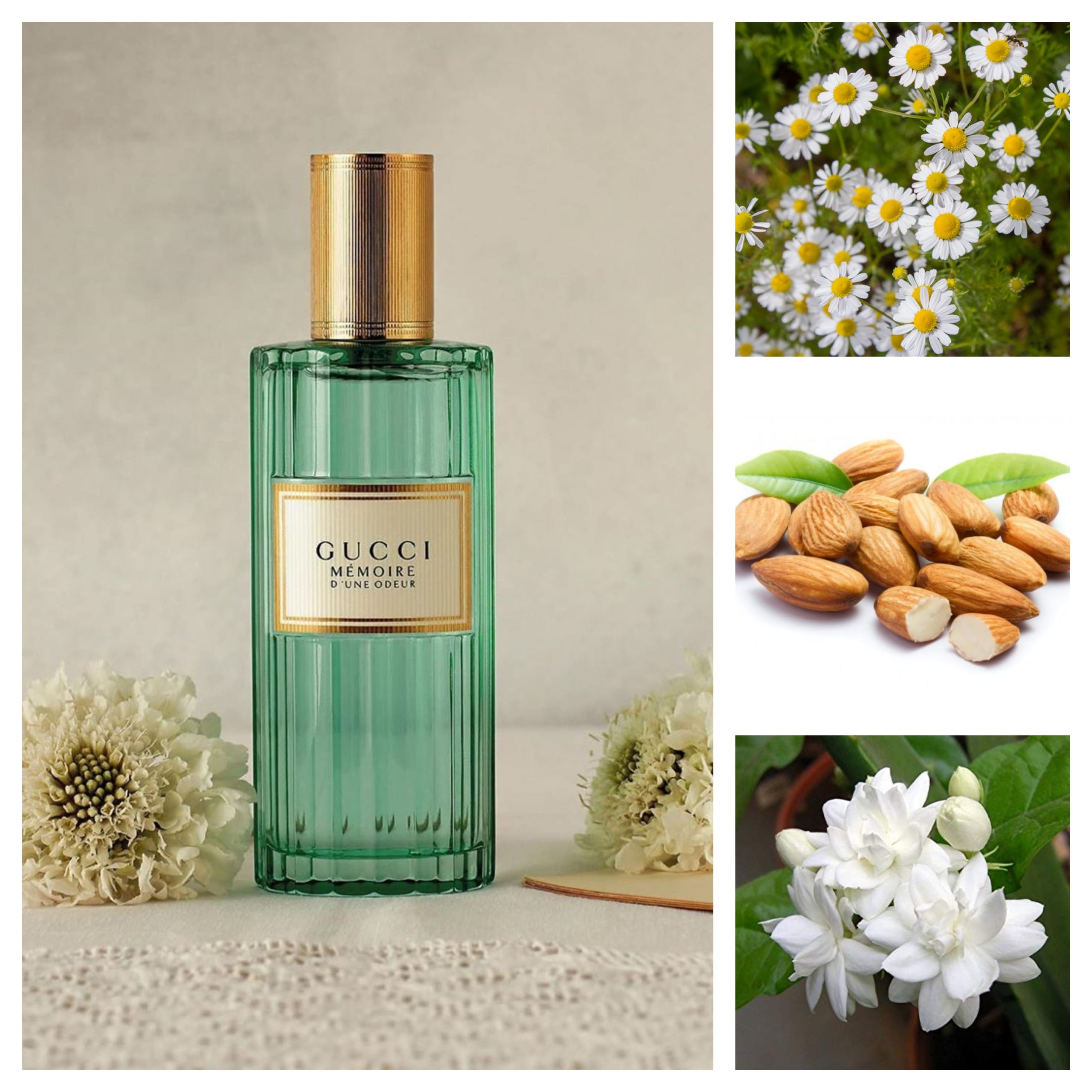 GUCCI MEMOIRE D'UN ODEUR 100ml