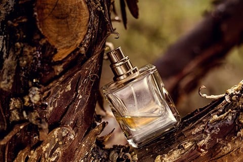 Tìm hiểu mùi hương phù hợp với bản thân vì những thành phần trong đó sẽ có ích cho bạn.