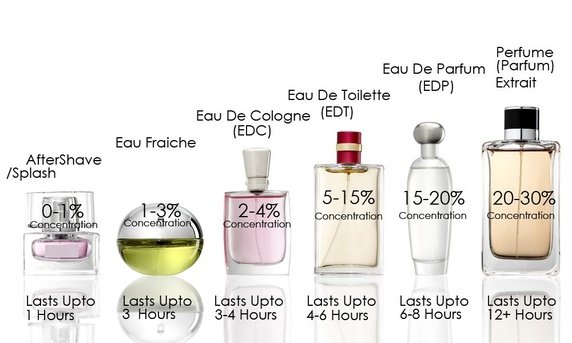 EDT (eau de toilette) có 5 - 12% tinh dầu. EDP (eau de parfum) chứa đến 15 - 20% tinh dầu.
